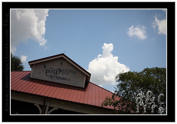 Disney08_09-022 Disney08_09-022